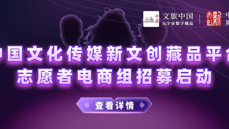 广州三维动画制作规范标准：解读与遵循
